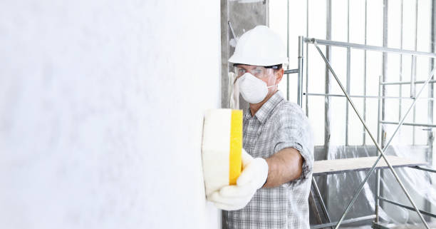 Best Mold Odor Removal Services  in Somerton, AZ