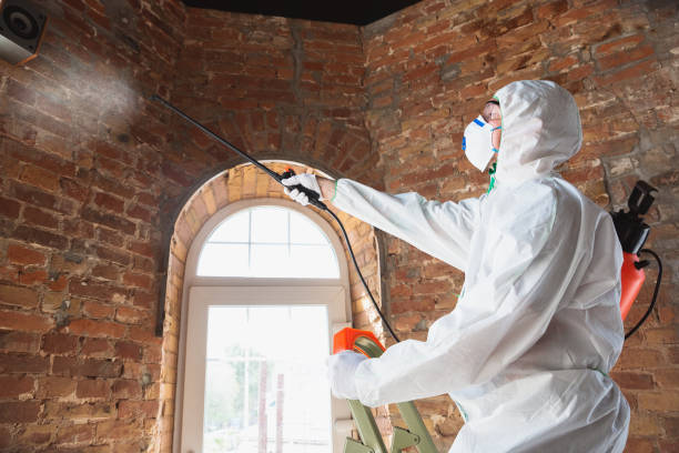 Best Commercial Mold Inspection  in Somerton, AZ